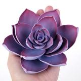 SUCCULENT MEDIUM VIOLET 1PC