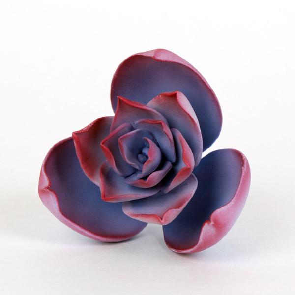 SUCCULENT SMALL VIOLET 2PC