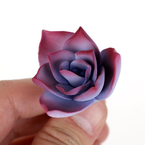 SUCCULENT EXTRA SMALL VIOLET 4PC