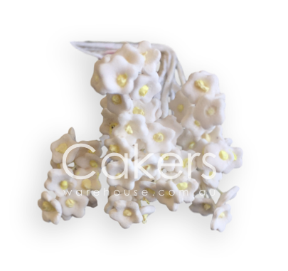 Babys Breath White 10pc