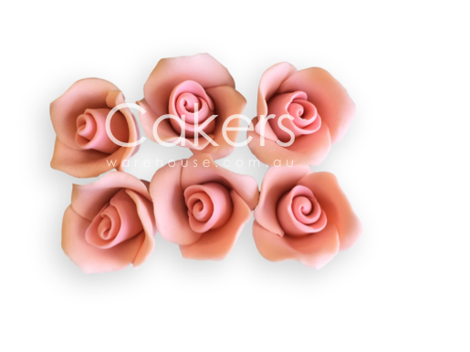 ROSE LARGE PINK 6PC