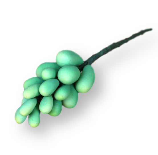 SUCCULENT FILLER GREEN 3PC