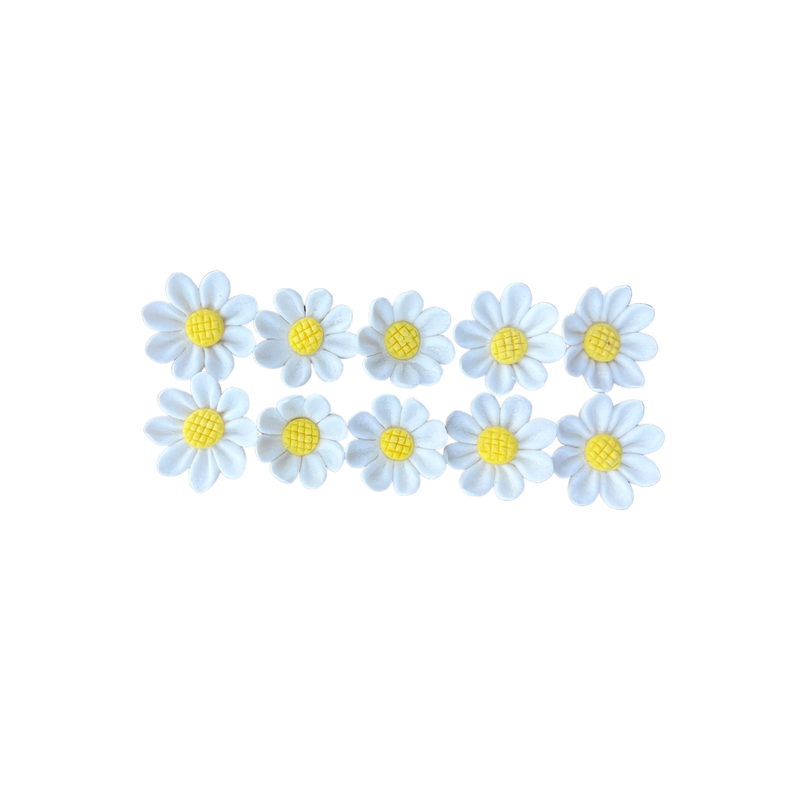 Daisy White 10PC