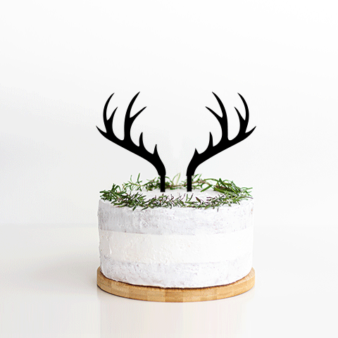 Topper Antler