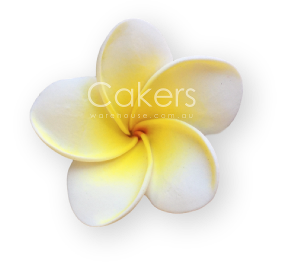 Frangipani Yellow