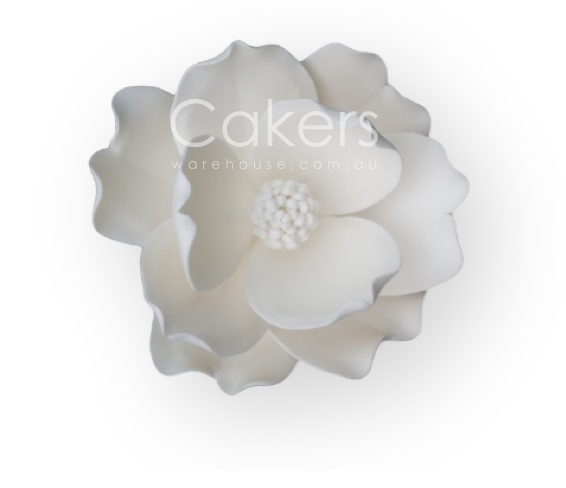 MAGNOLIA LARGE WHITE