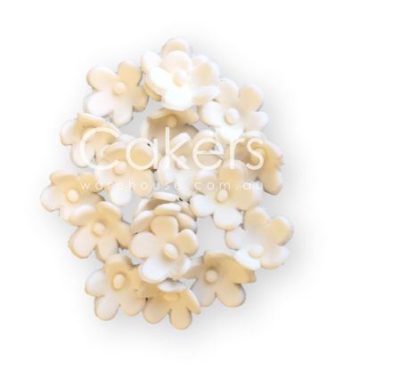 FORGET ME NOT WHITE WHITE 20PC