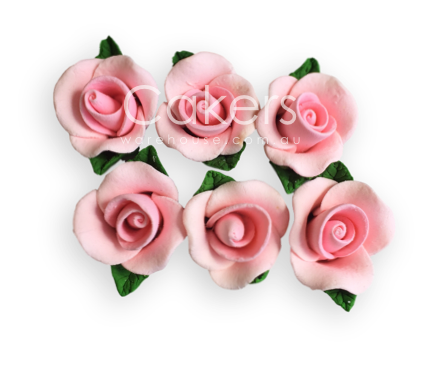 ROSE LARGE LEAF PINK 6PC