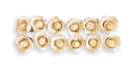 ROSE MEDIUM WHITE 12PC