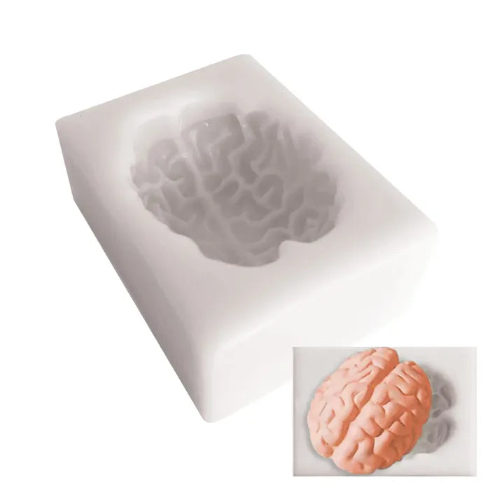 Silicone Mould Brain