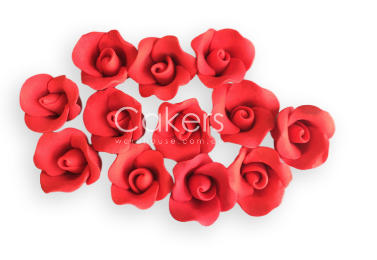 ROSE MEDIUM RED RED 12PC
