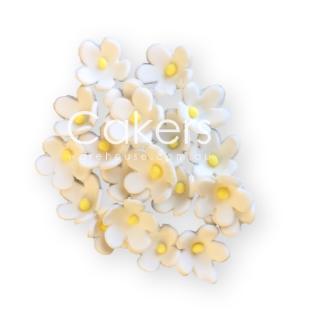 FORGET ME NOT WHITE YELLOW 20PC